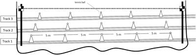 Following a Long-Distance Classical Race the Whole-Body Kinematics of Double Poling by Elite Cross-Country Skiers Are Altered